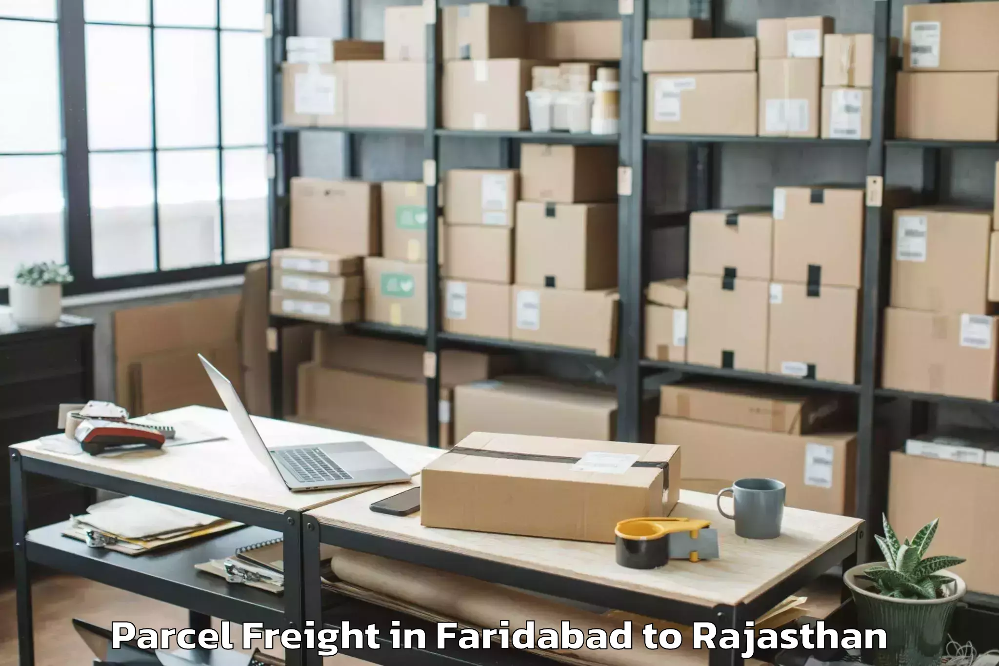 Book Faridabad to Pipalda Parcel Freight